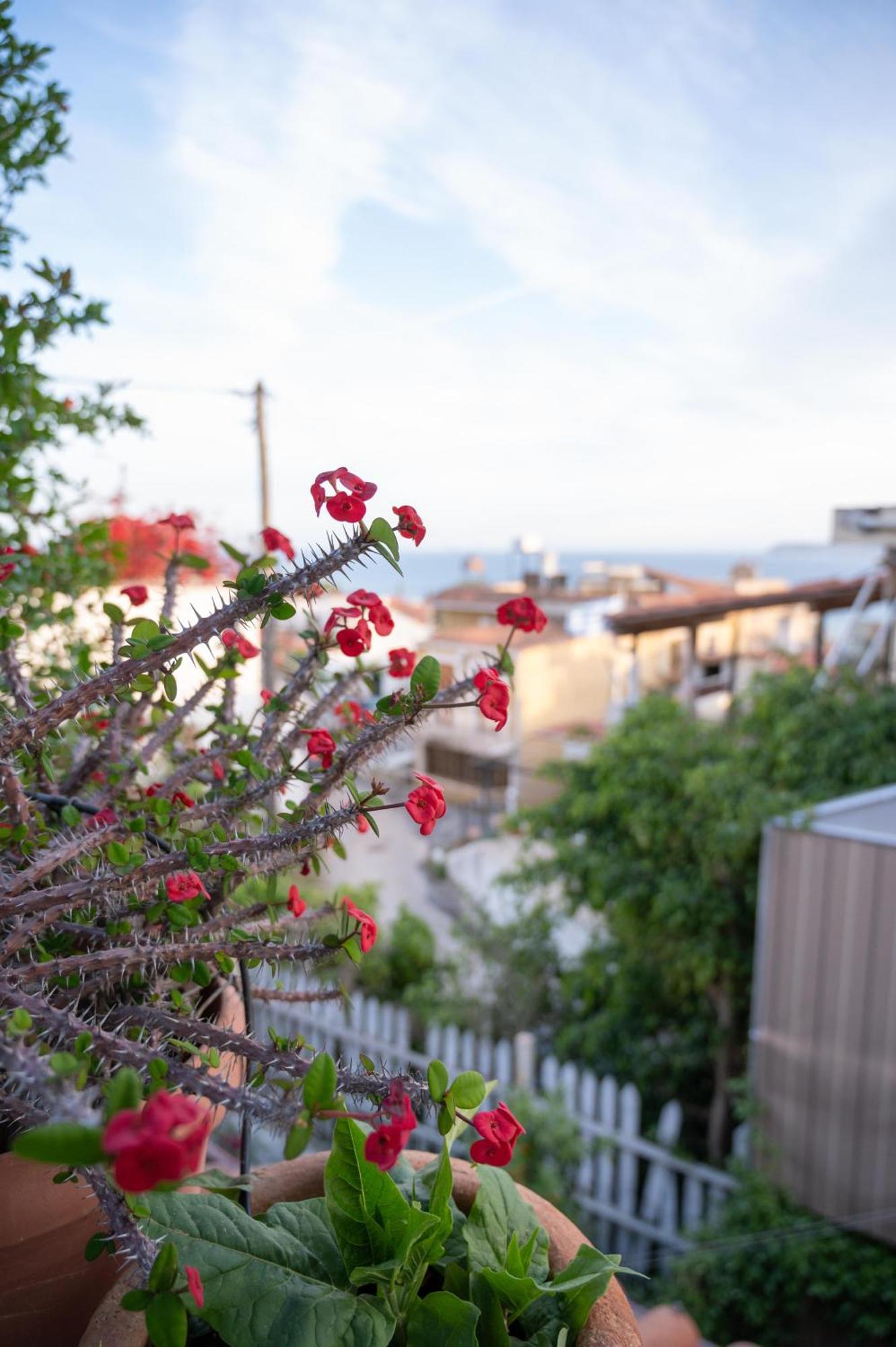 Memories Gytheio Villa Exterior photo